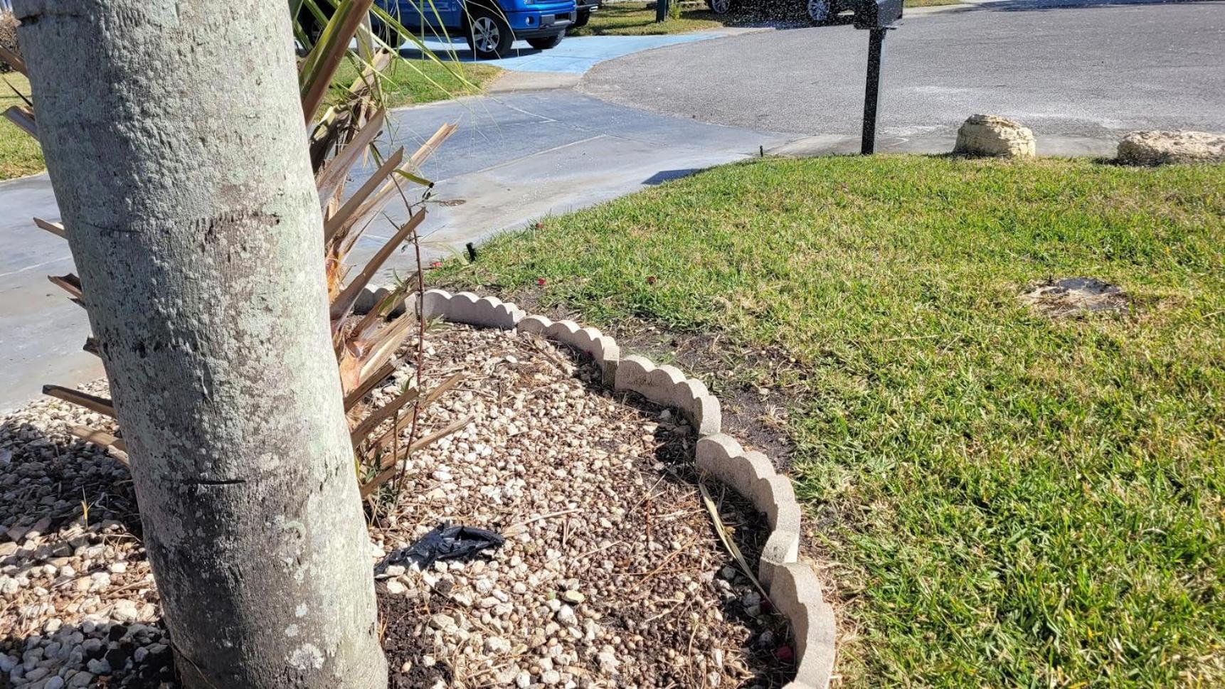 Near Clearwater And Tarpon Spring With Water View Apartment Holiday Exterior photo